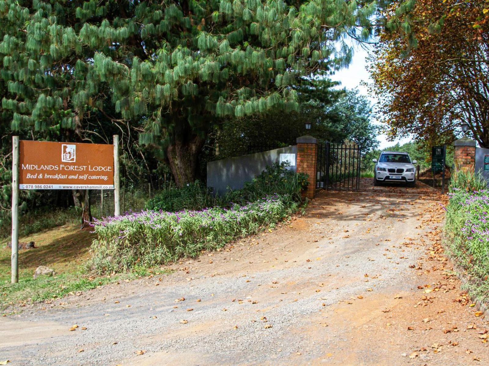 Midlands Forest Lodge Balgowan Exteriér fotografie